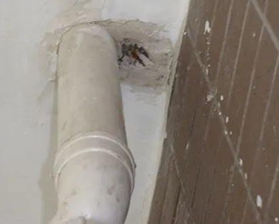 郑州漏水检测哪家好